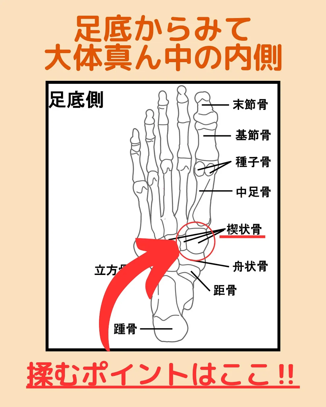 腰痛い人ここ揉んで‼️