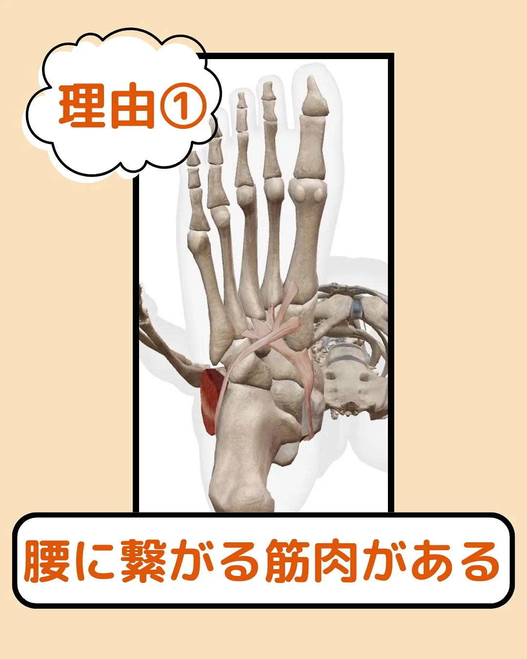 腰痛い人ここ揉んで‼️