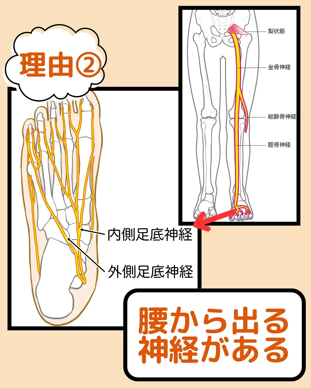 腰痛い人ここ揉んで‼️