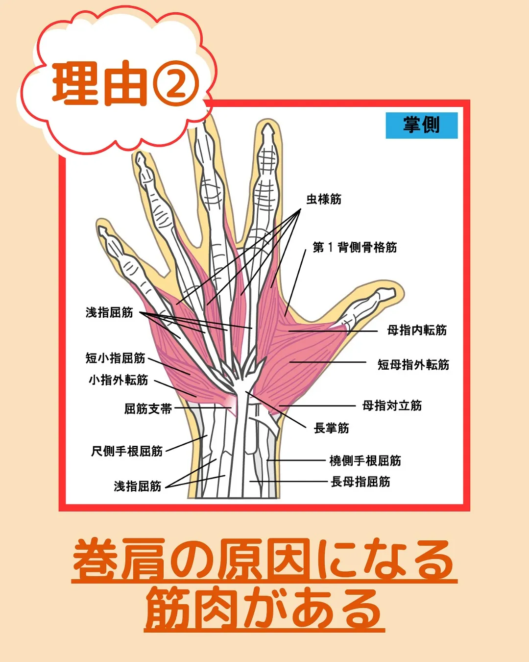 【首や肩こりある人ここ揉んで‼️】