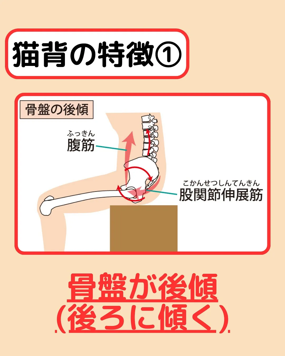 【姿勢改善Part①猫背改善】