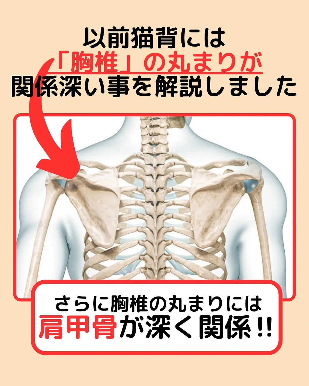 【姿勢改善‼️猫背改善Part3】岡山整体エイビス代表石坂で...