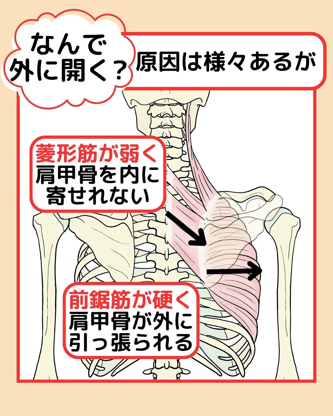 【姿勢改善‼️猫背改善Part3】岡山整体エイビス代表石坂で...