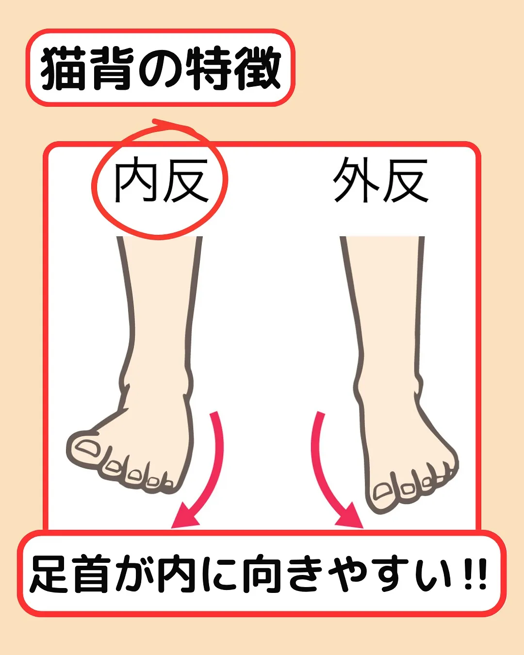 【姿勢改善‼️猫背改善Part4】