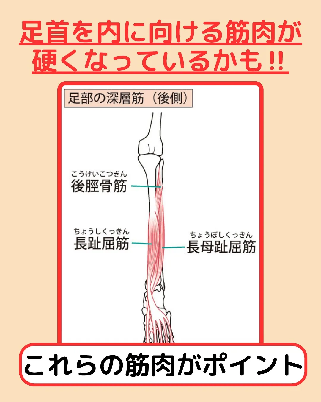 【姿勢改善‼️猫背改善Part4】