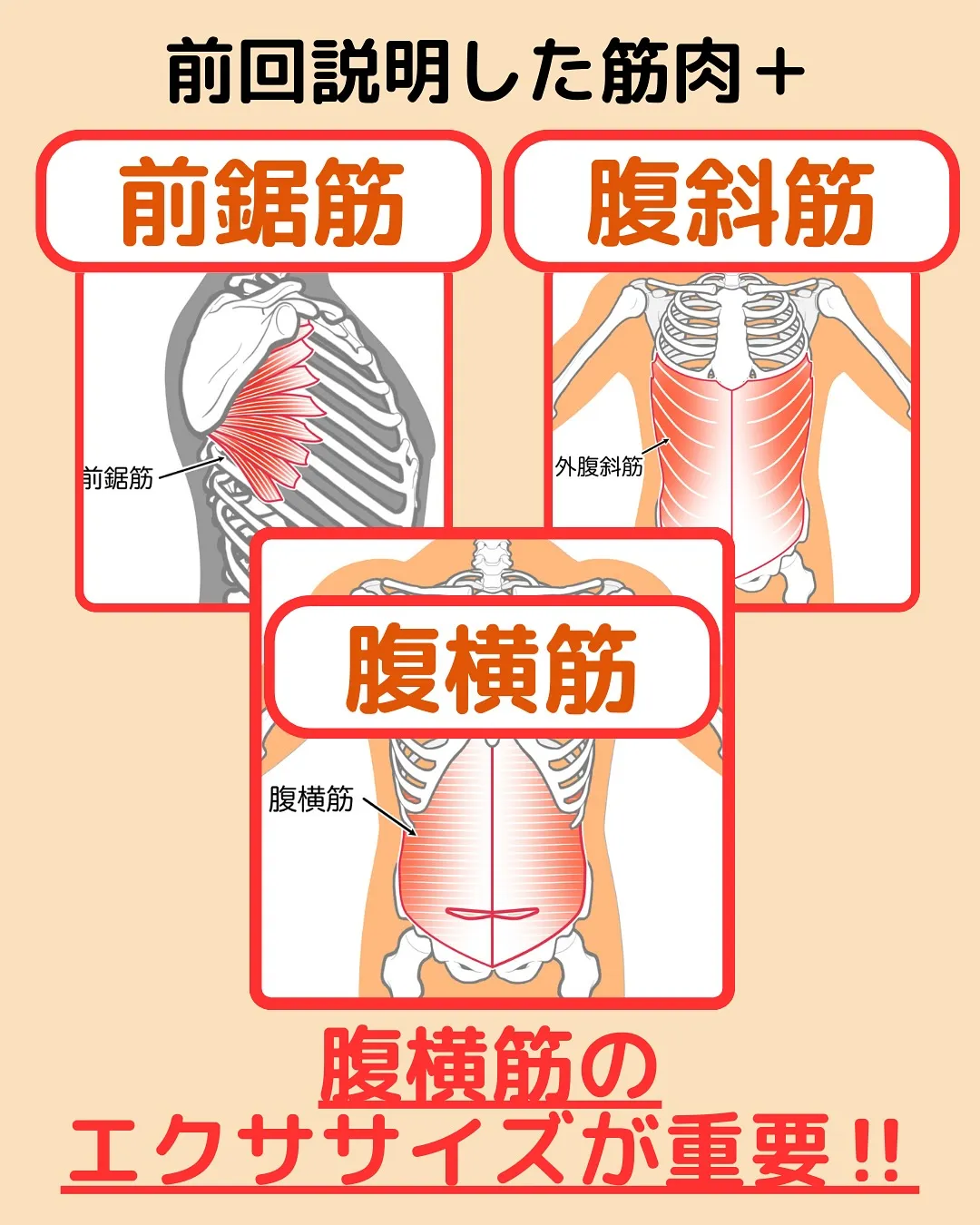 【姿勢改善‼️反り腰改善Part3✨】