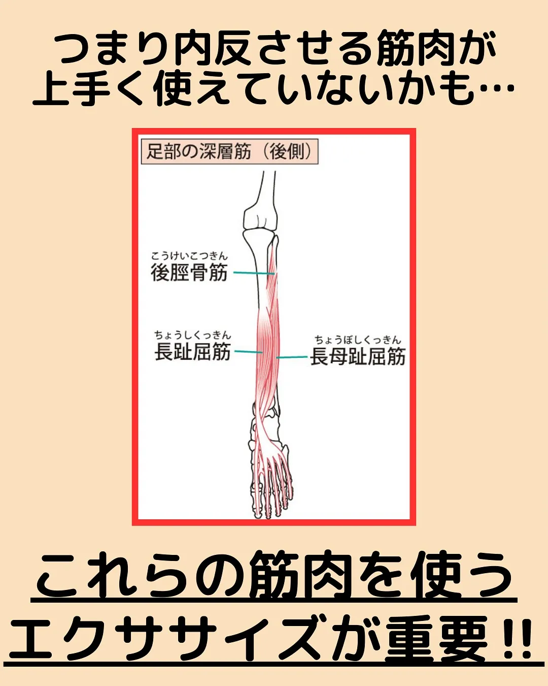 【姿勢改善‼️反り腰改善✨】