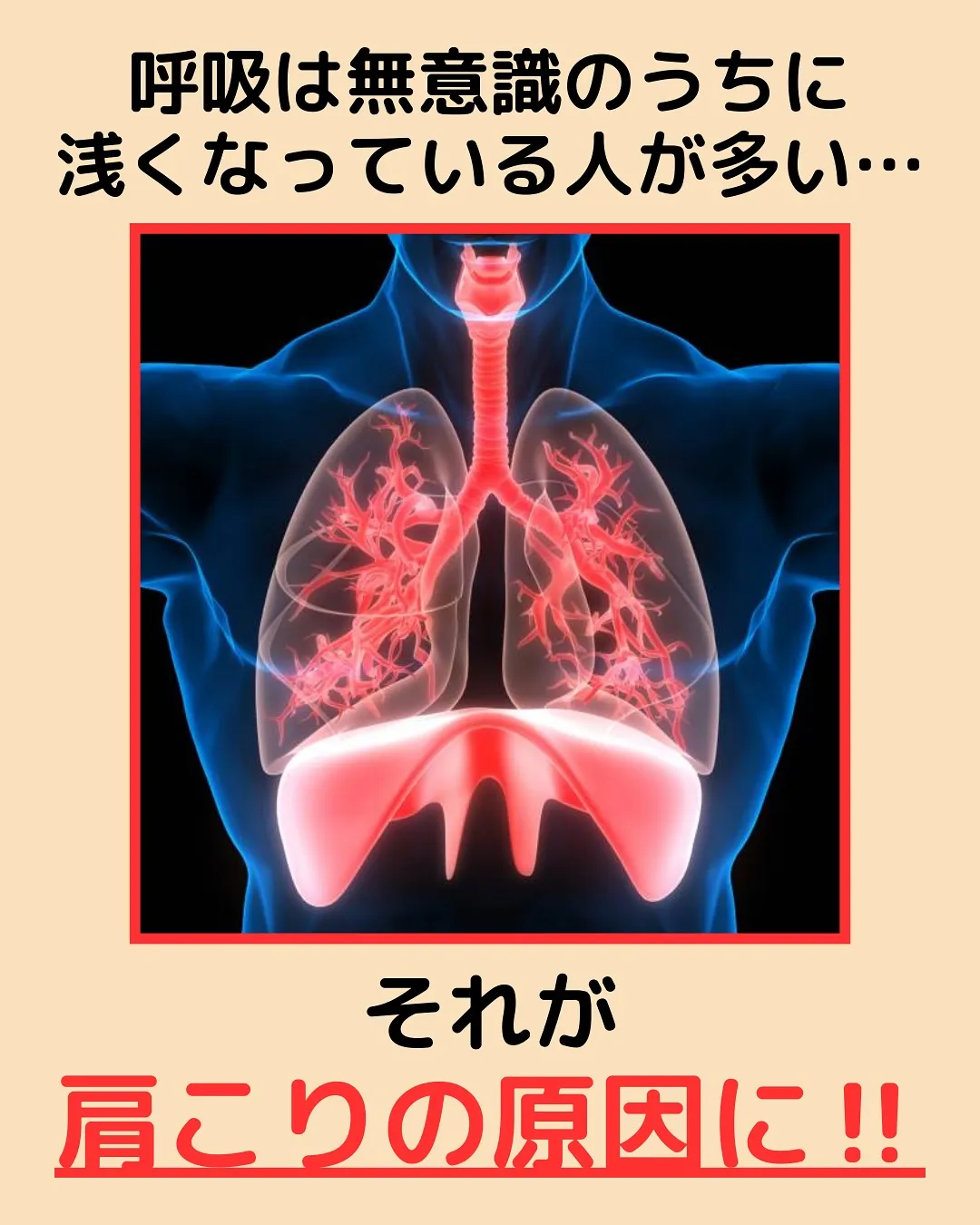 【肩こり改善‼️呼吸から紐解く✨】