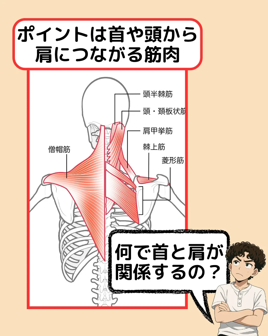 【肩こり改善Part3‼️肩こりを頭の位置から紐解く✨】