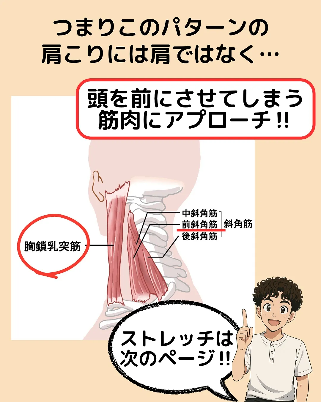 【肩こり改善Part3‼️肩こりを頭の位置から紐解く✨】