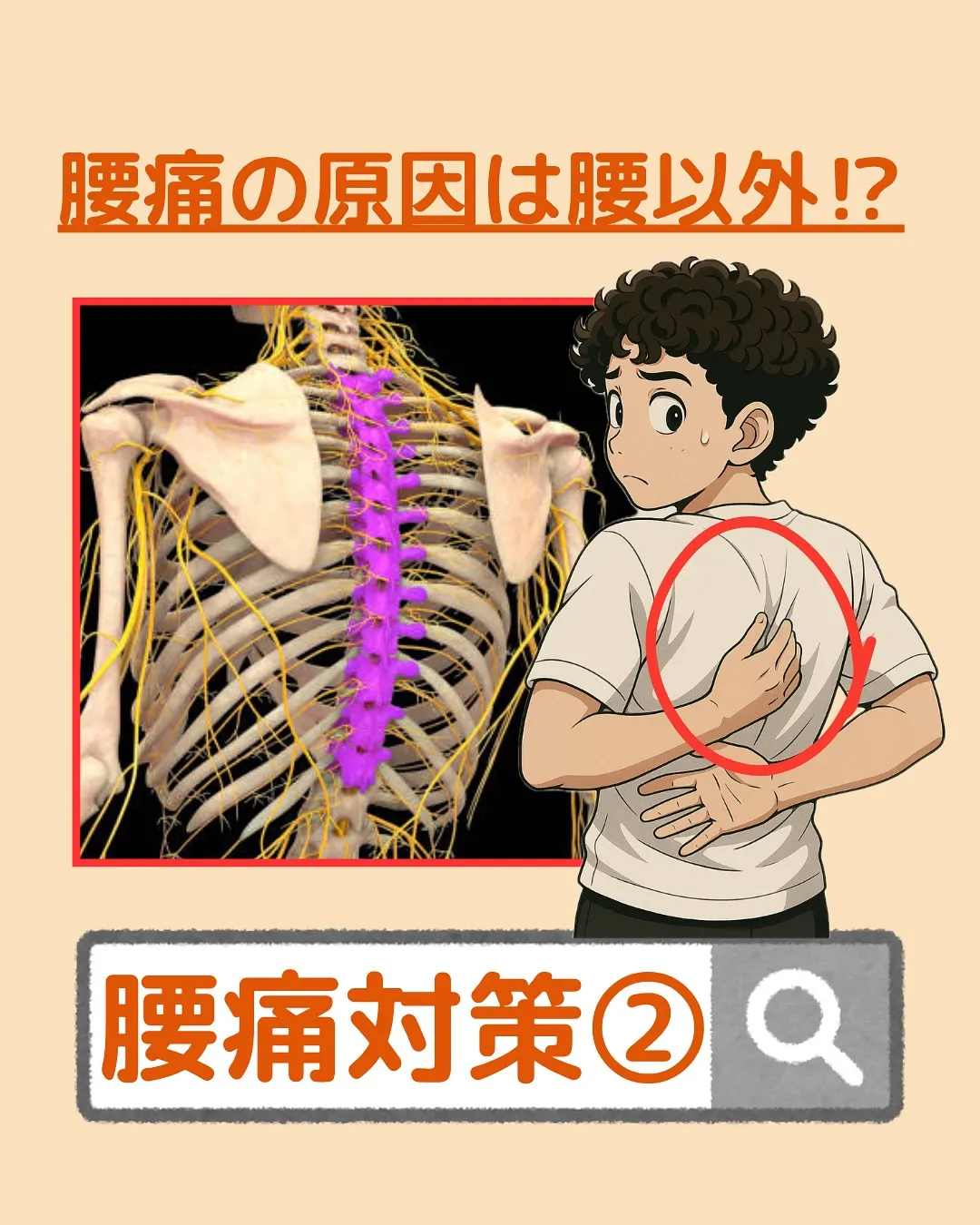 【腰痛対策Part2‼️腰痛の原因は腰以外⁉️】