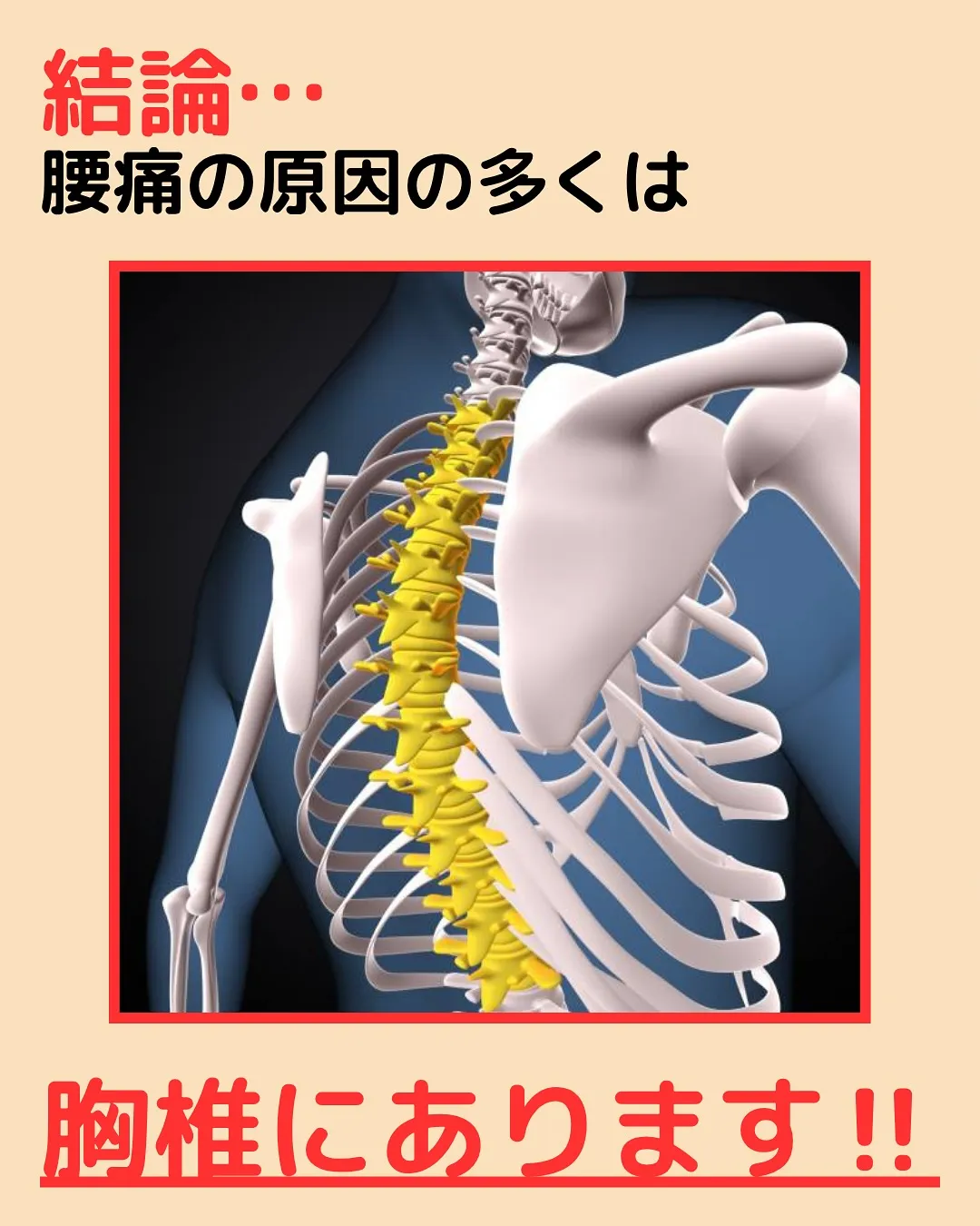 【腰痛対策Part2‼️腰痛の原因は腰以外⁉️】