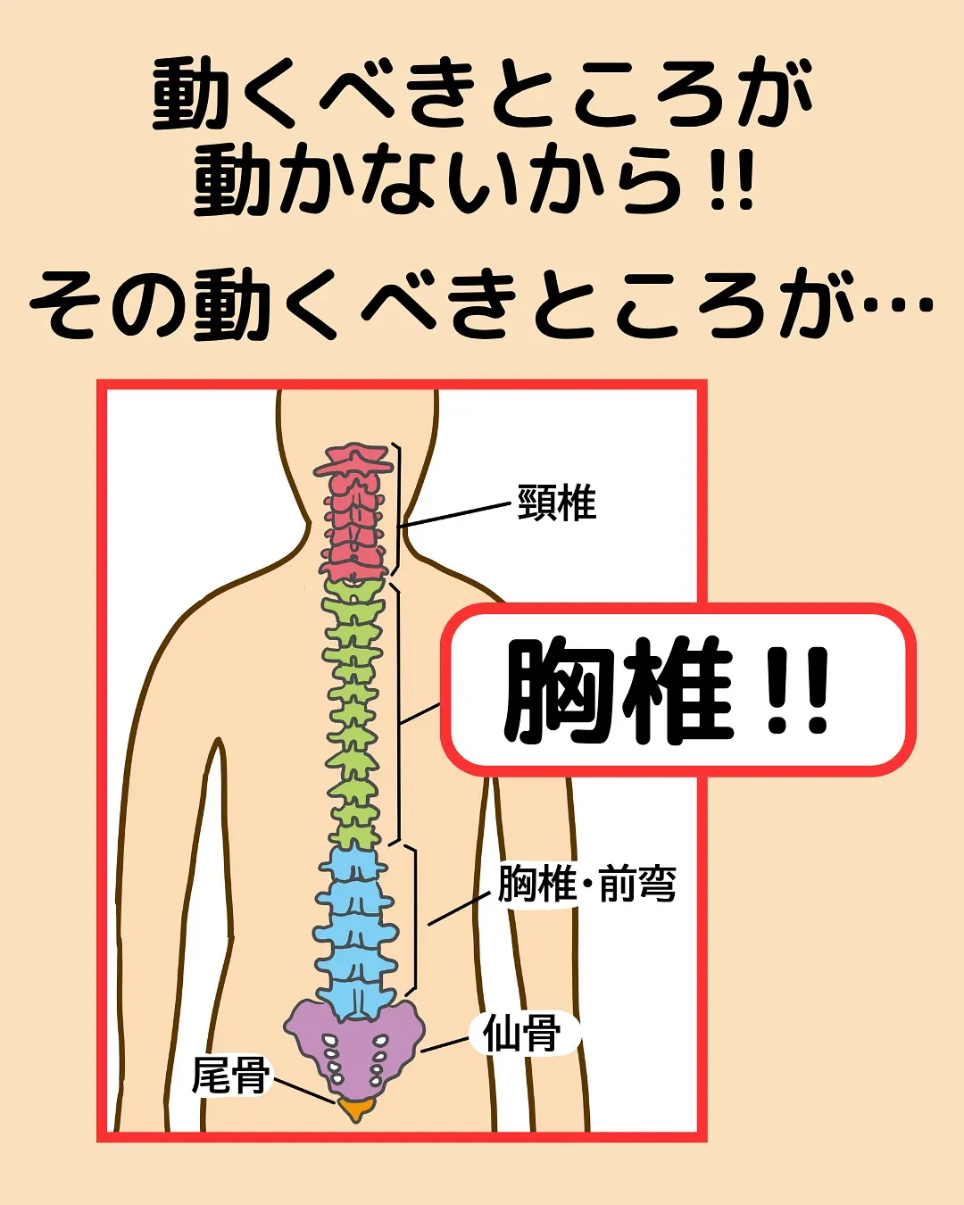 【腰痛対策Part2‼️腰痛の原因は腰以外⁉️】
