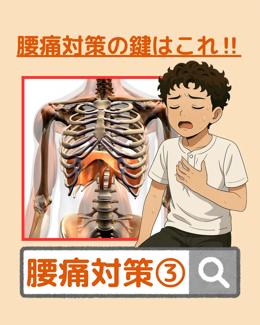 【腰痛対策Part3‼️腰痛対策の鍵はこれ‼️】
