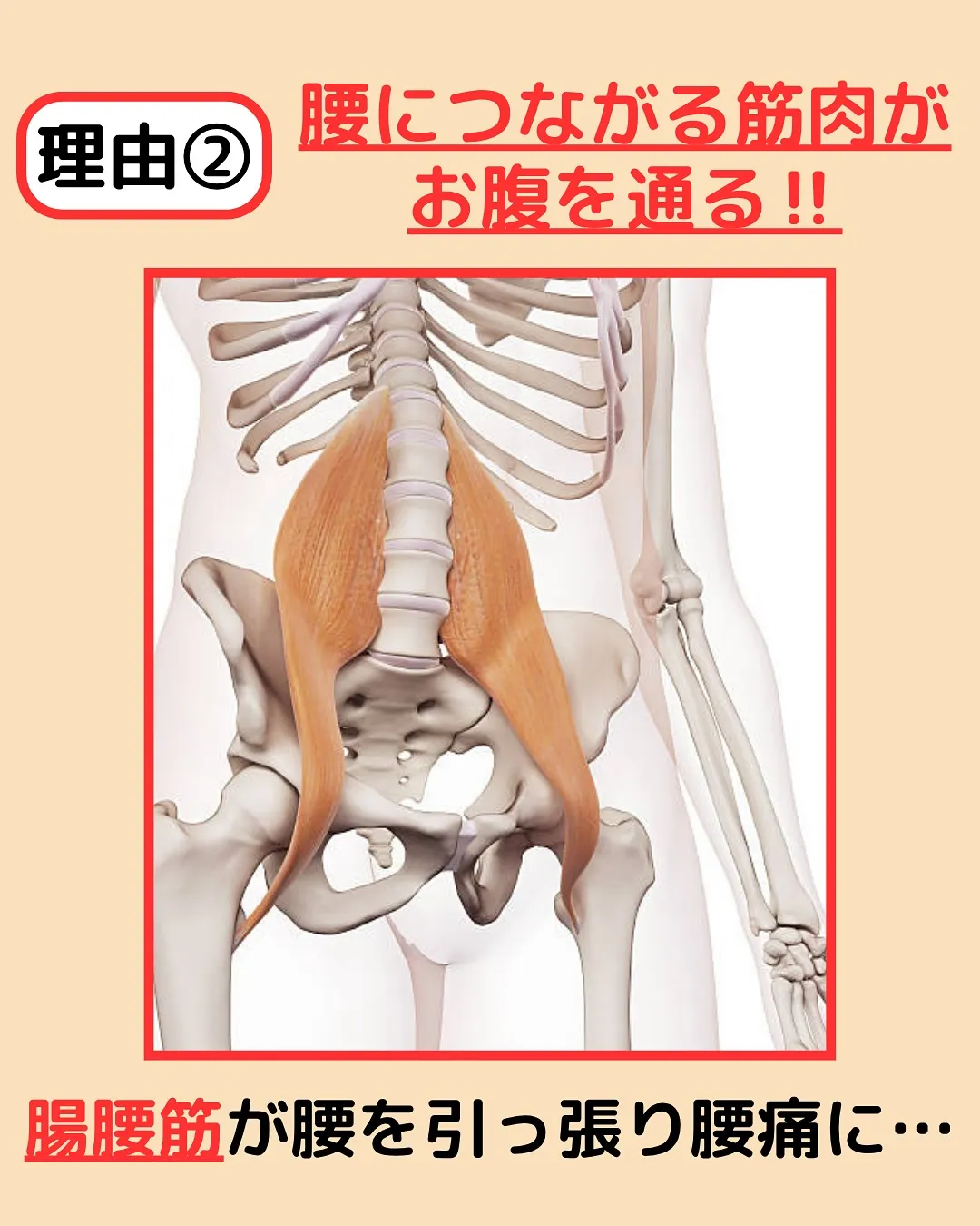 【腰痛対策Part4✨腰痛の原因はお腹側⁉️】