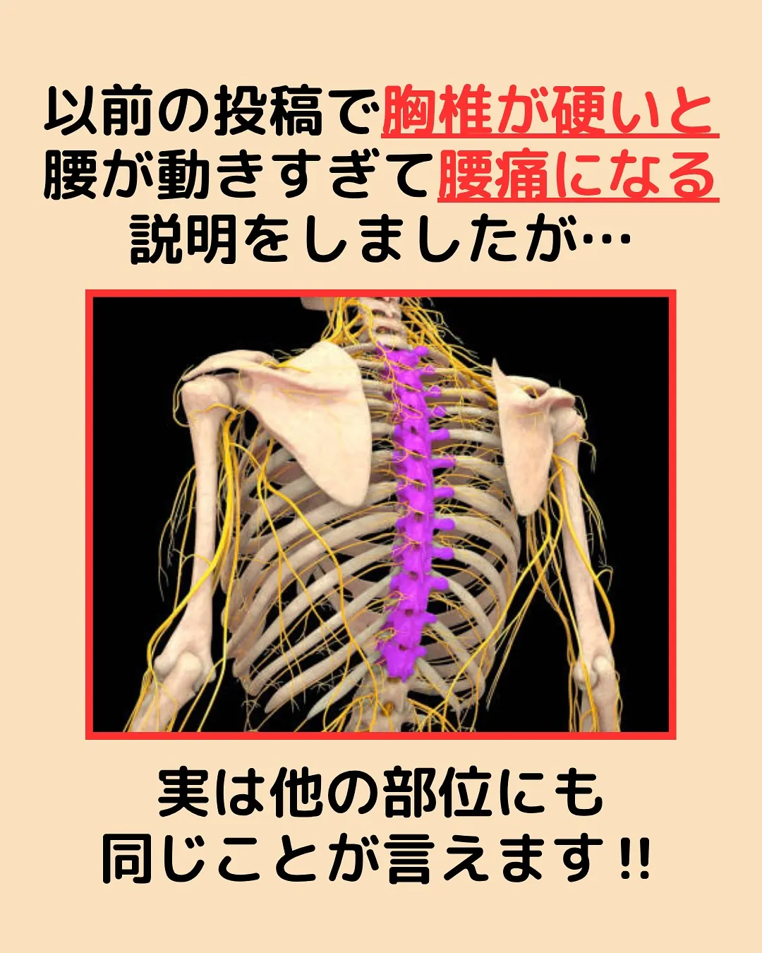 【腰痛対策Part5✨ここが硬いせいかも‼️】