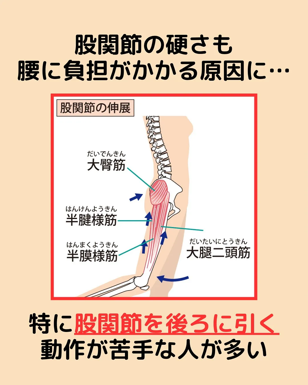 【腰痛対策Part5✨ここが硬いせいかも‼️】