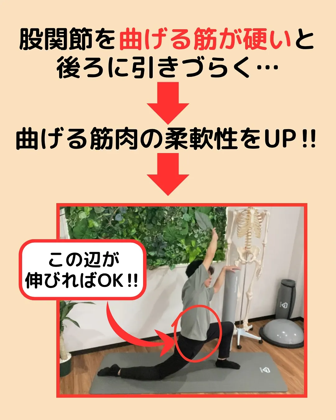 【腰痛対策Part5✨ここが硬いせいかも‼️】