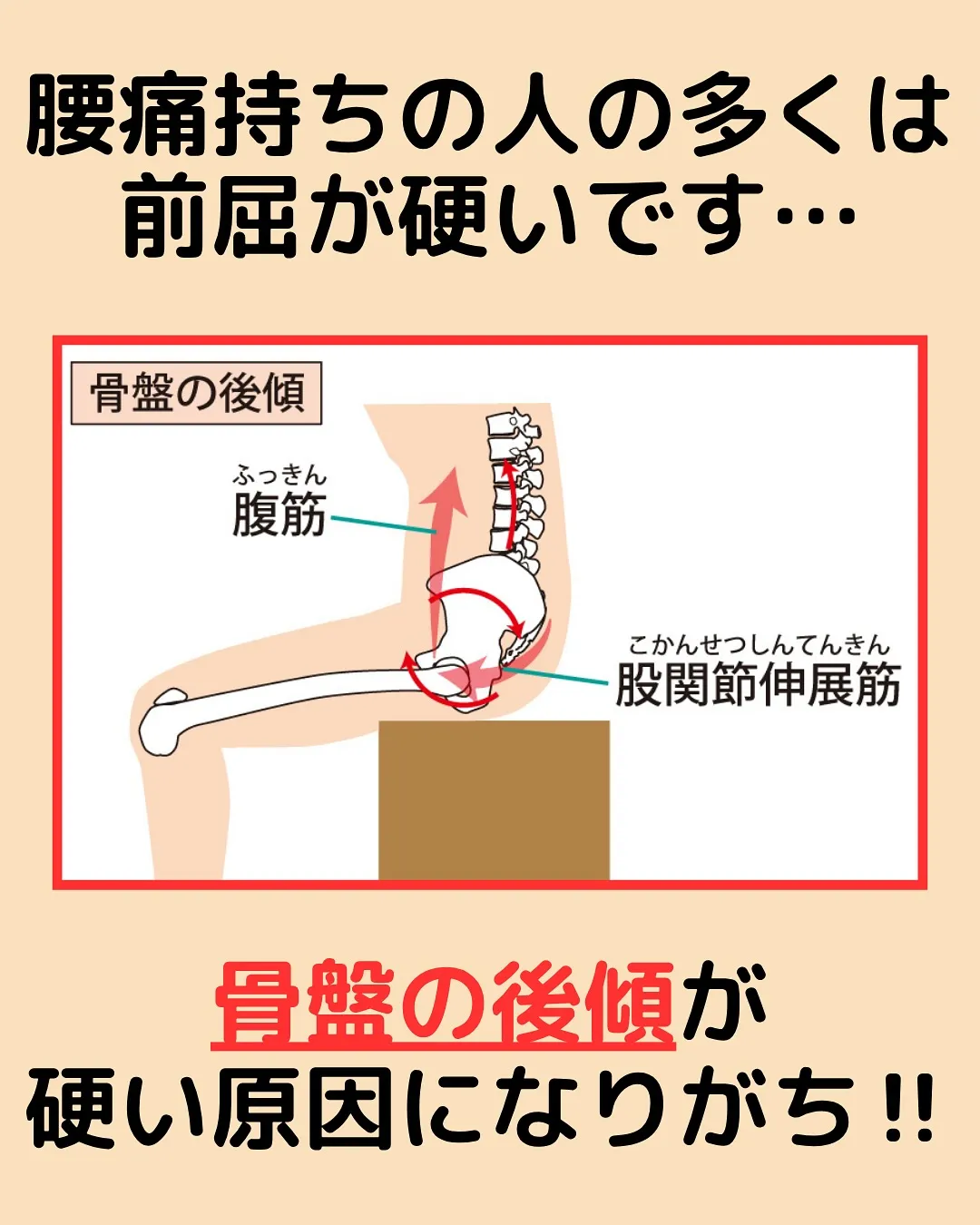 【腰痛対策Part6‼️前屈硬い人集合✨】