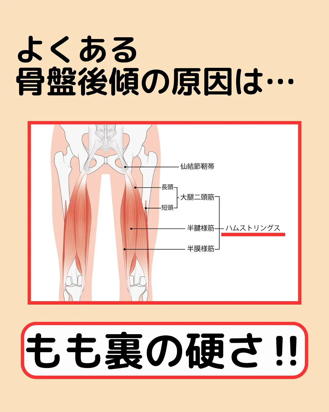 【腰痛対策Part6‼️前屈硬い人集合✨】