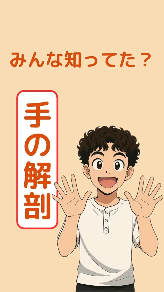 みんな知ってた❓手の解剖✨